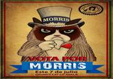 El CandiGato Morris (Morris the Cat-idate)