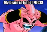 My Brain is Full of F**k