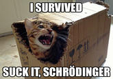 Schrodinger's Cat