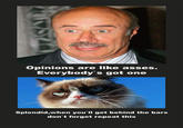 Grumpy Cat