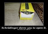 Schrodinger's Cat