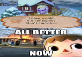 The Villager