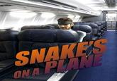 Snakes on a Plane