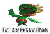 Haters Gonna Hate