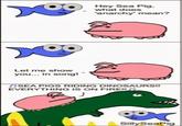 The Silly Sea Pig