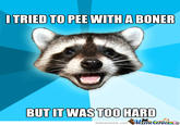 Lame Pun Coon