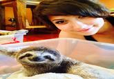 Boxxy