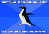 Socially Awkward Penguin