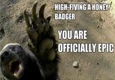Honey Badger