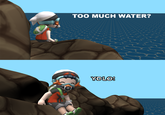 Too Much Water