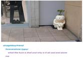 Forever Alone