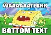 Bottom Text