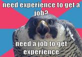 Millennial Falcon