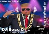 Easy D