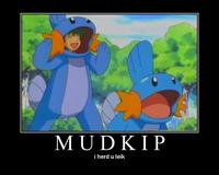 I Herd U Like Mudkips