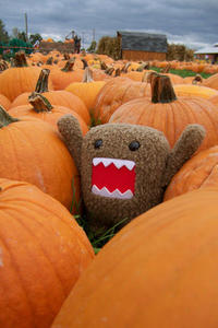 Domo