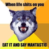Courage Wolf