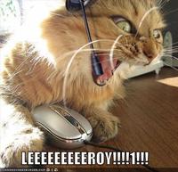 Leeroy Jenkins