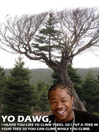 Xzibit Yo Dawg