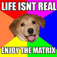 Advice Dog