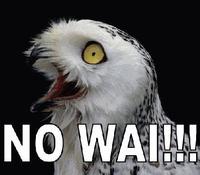 O RLY?