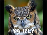 O RLY?