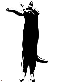 Longcat