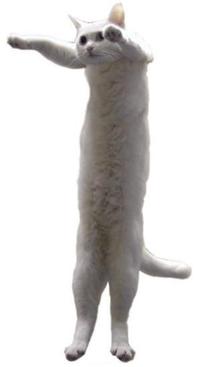Longcat