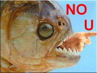 NO U