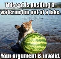Your Argument is Invalid