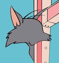 That F***ing Cat