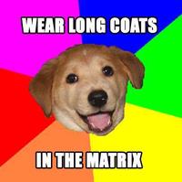 Advice Dog