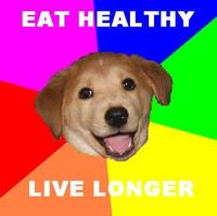 Advice Dog