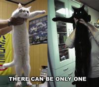 Longcat