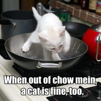 A Cat Is Fine Too