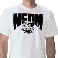 NEDM