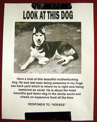Extreme Advertising