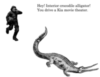 Interior Crocodile Alligator