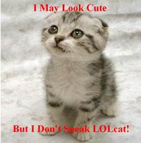 LOLcats
