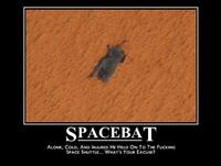 SpaceBat