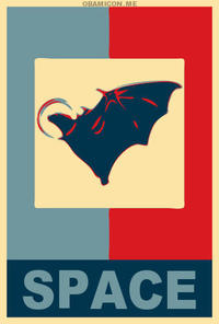 Space Bat