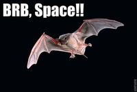 SpaceBat