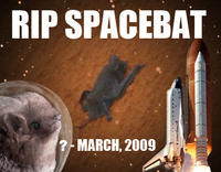 Space Bat