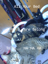 All Your Base Are Belong to Us