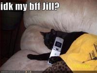 IDK My BFF Jill