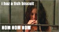 Fish Biscuit