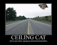 Ceiling Cat