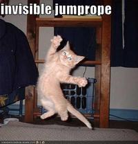 LOLcats