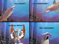 The Singing Shark