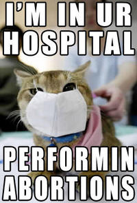 LOLcats